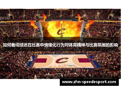 如何看待球迷在比赛中情绪化行为对体育精神与比赛氛围的影响