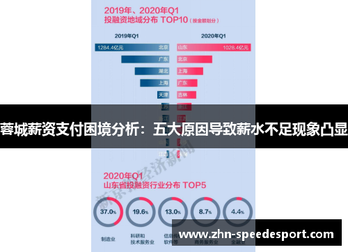 蓉城薪资支付困境分析：五大原因导致薪水不足现象凸显
