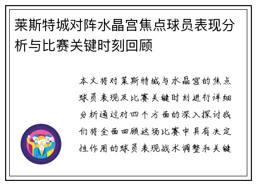 莱斯特城对阵水晶宫焦点球员表现分析与比赛关键时刻回顾