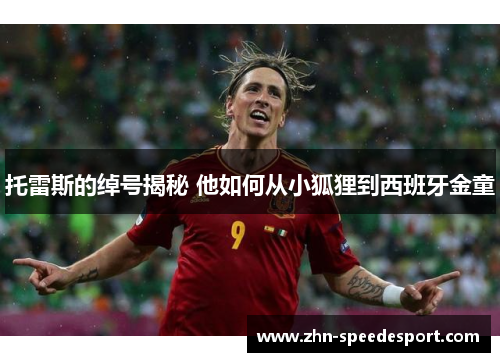 托雷斯的绰号揭秘 他如何从小狐狸到西班牙金童 托雷斯的绰号揭秘 他如何从小狐狸到西班牙金童
